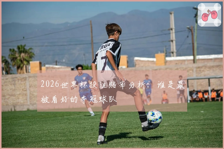 2026世界杯投注赔率分析：谁是最被看好的夺冠球队