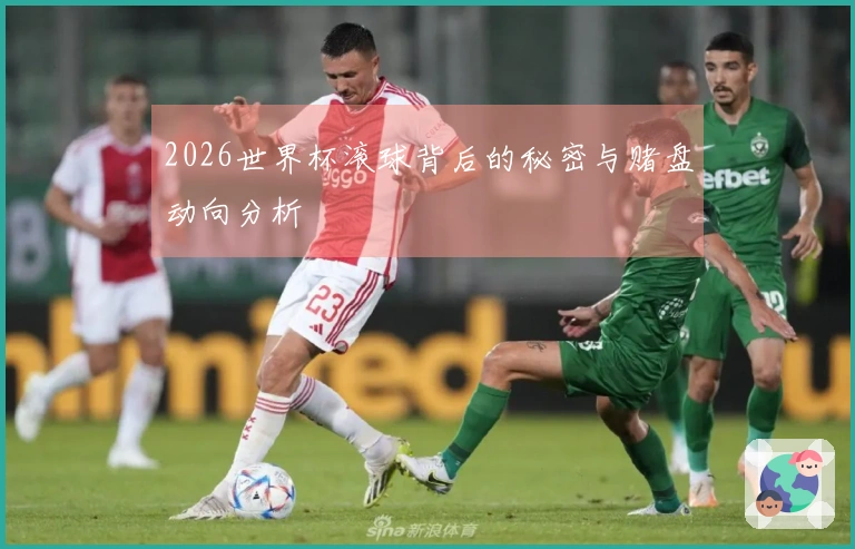 2026世界杯滚球背后的秘密与赌盘动向分析