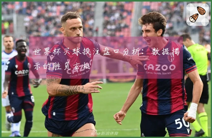 世界杯买球投注盘口分析：数据揭示的胜负玄机