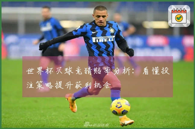 世界杯买球竞猜赔率分析：看懂投注策略提升获利机会
